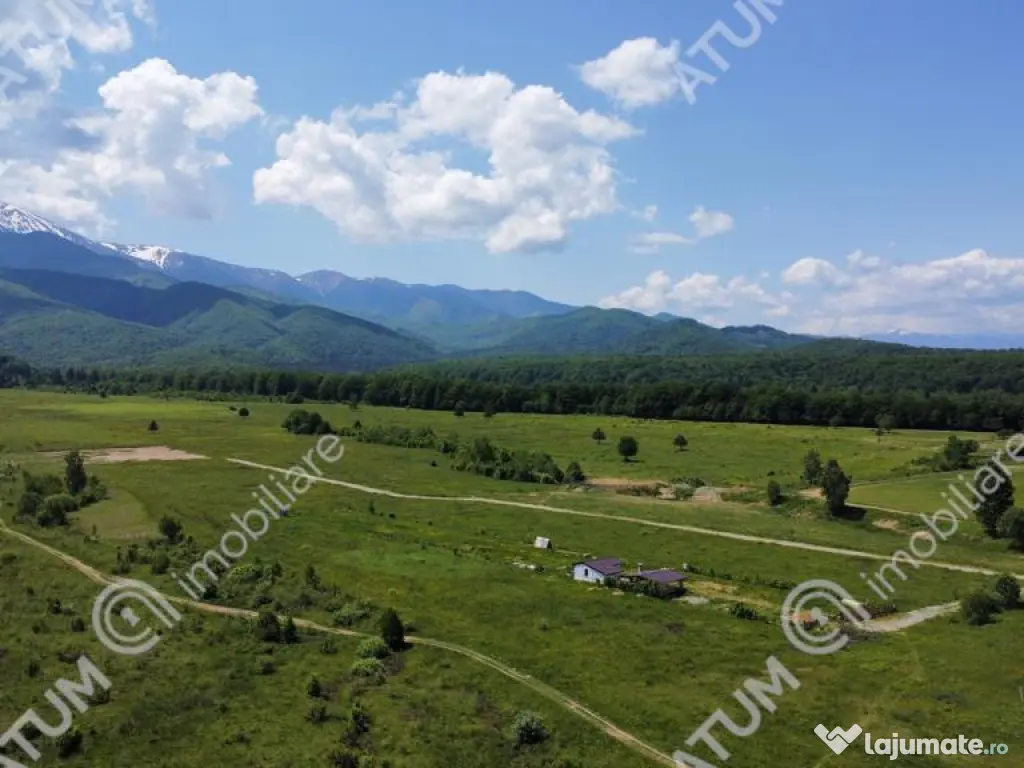 Teren intravilan de in Avrig zona Valea Avrigului