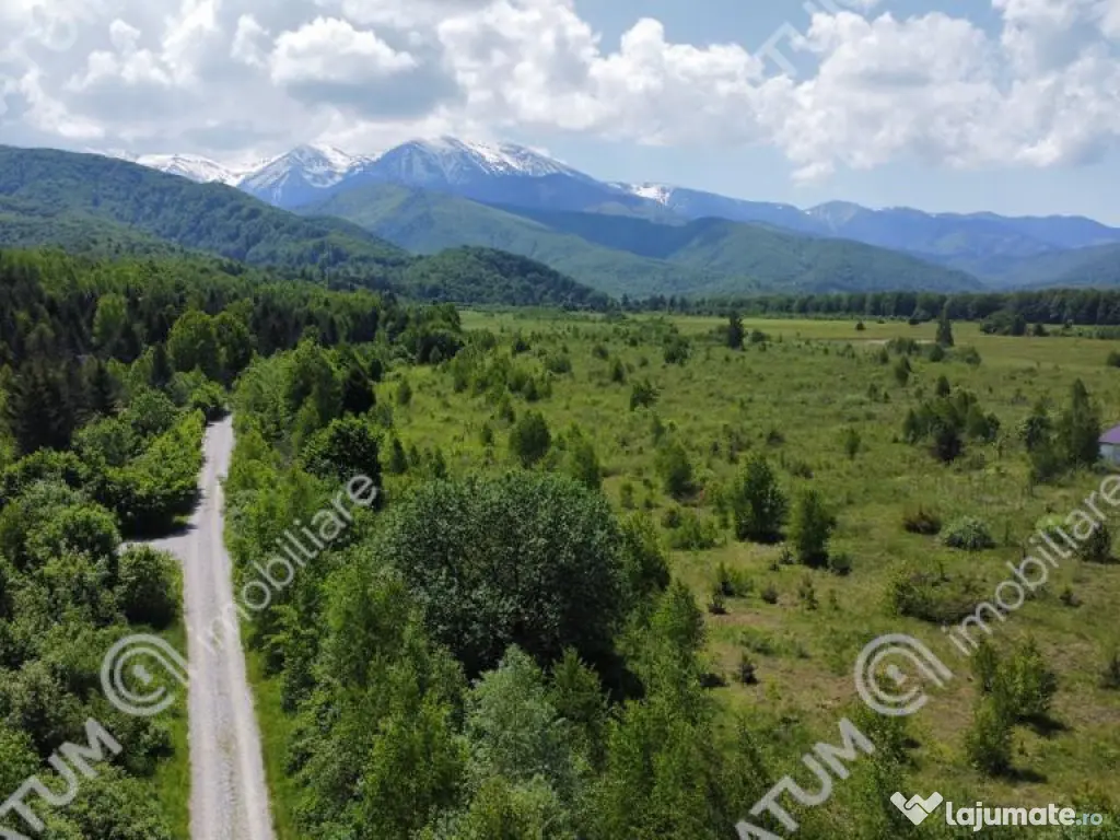 Teren intravilan de in Avrig zona Valea Avrigului