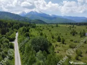 Teren intravilan de in Avrig zona Valea Avrigului 