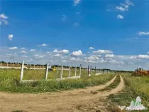 Teren 64 de parcele de / Teren de investitie / Frumusani /