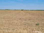 Teren pentru proiect de case in Buftea, cu deschidere la lac 