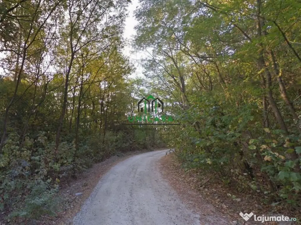 Teren Ramnicu Valcea / 28 Ha