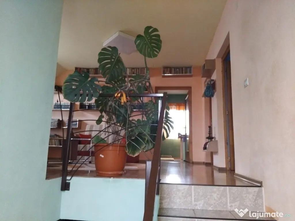 Proprietate cu 2 cladiri in Chisineu Cris - ID : RH-41243-property