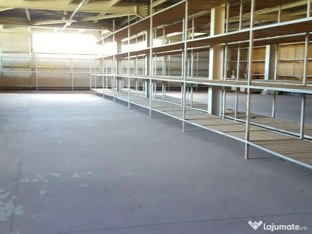 Spațiu depozitare si productie Ciolpani