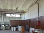 Spațiu depozitare si productie Ciolpani 