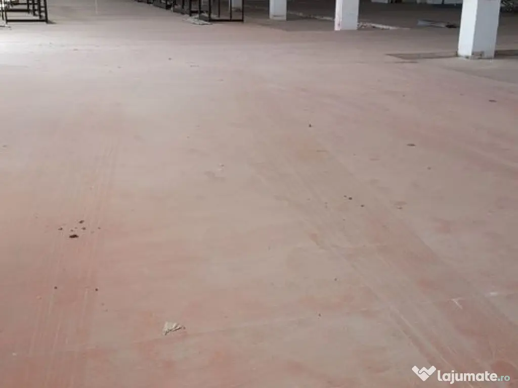 Spațiu depozitare si productie Ciolpani