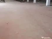 Spațiu depozitare si productie Ciolpani 