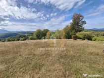 Teren Intorsura Buzaului Dealul Frumos