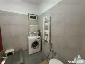 Vila eleganta in apropierea parcului Bazilescu 