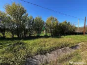 Teren intravilan/Str Balciului/Copacelu 