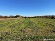 Teren intravilan/Str Balciului/Copacelu 