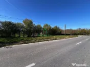 Teren intravilan/Str Balciului/Copacelu 