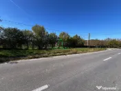 Teren intravilan/Str Balciului/Copacelu 