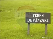 Teren 10,000mp Arad / DJ 682 