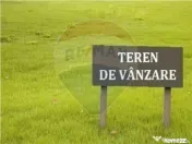Teren 10,000mp Arad / DJ 682