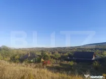Teren intravilan 500 mp, la asfalt, in Goruni-Tomesti