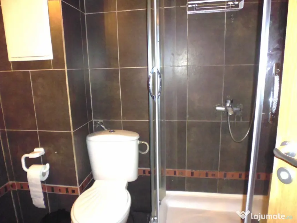 Apartament de vanzare Elisabetin