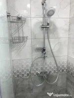 Apartament o camera Sagului