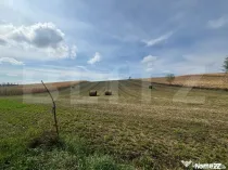 Teren intravilan, 78 ari, zona Moara