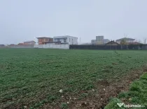 Ovidiu- Poiana, teren intravilan ideal pentru constructie...