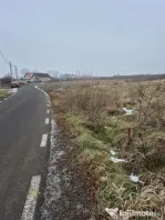 Seini, str. Tineretului, 60 ari teren