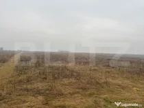 Teren Intravilan, 3000 mp, zona Chintelnic