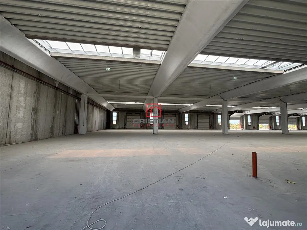 Depozit/spatiu industrial/hala Chitila - Rudeni, ILFOV