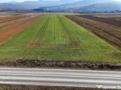 Teren extravilan | 14,600mp | Tărlungeni 