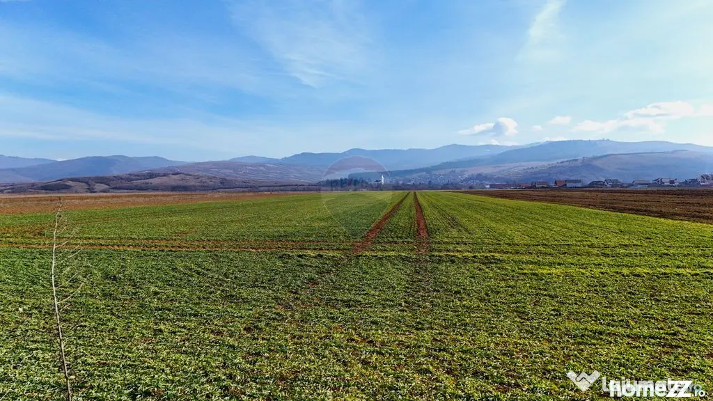 Teren extravilan | 14,600mp | Tărlungeni