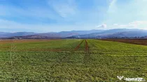 Teren extravilan | 14,600mp | Tărlungeni