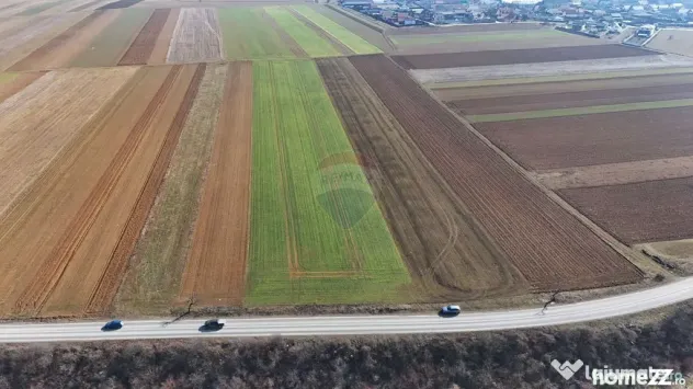 Teren extravilan | 14,600mp | Tărlungeni