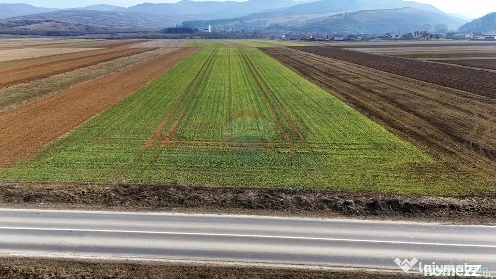 Teren extravilan | 14,600mp | Tărlungeni