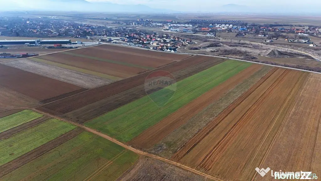 Teren extravilan | 14,600mp | Tărlungeni