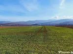 Teren extravilan | 14,600mp | Tărlungeni