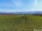 Teren extravilan | 14,600mp | Tărlungeni 