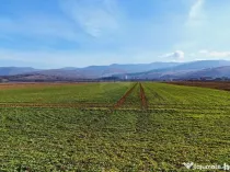 Teren extravilan | 14,600mp | Tărlungeni