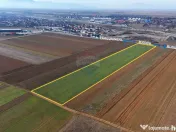 Teren extravilan | 14,600mp | Tărlungeni 