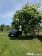Teren intravilan de vanzare, 1800 mp, cu casa demolabila, zo