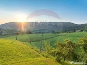 Casă de vânzare zona Bratca, 5 camere, 12 375 teren 