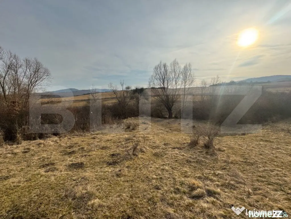 Oportunitate de investitie, teren extravilan, 11200 mp, zona - Bistrita (Bistrita-Nasaud)