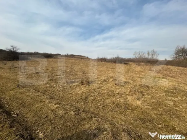 Oportunitate de investitie, teren extravilan, 11200 mp, zona - Bistrita (Bistrita-Nasaud)