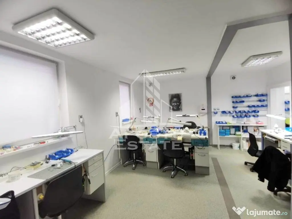 Casa ideala pentru birouri sau alte activitati pe strada Mangaliei - Timisoara (Timis)