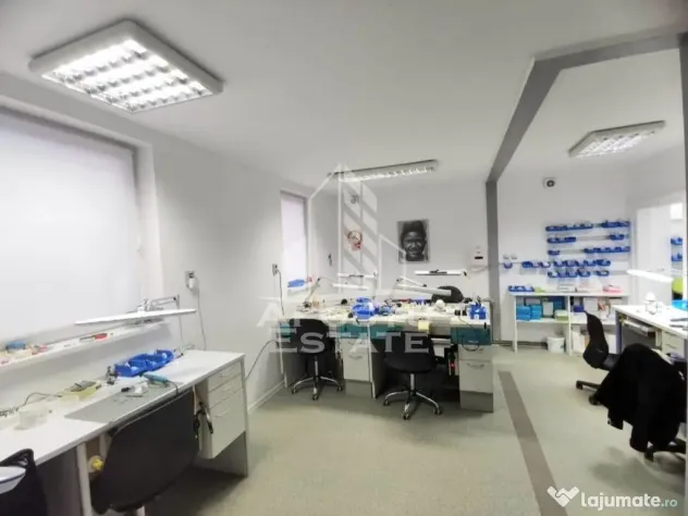 Casa ideala pentru birouri sau alte activitati pe strada Mangaliei - Timisoara (Timis)