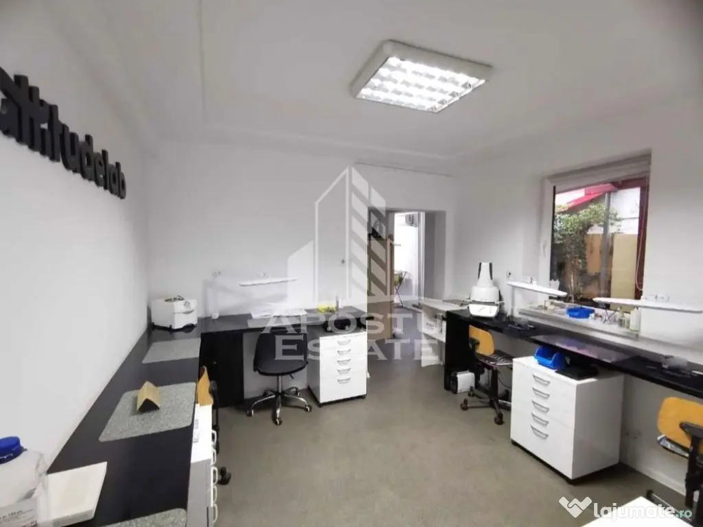 Casa ideala pentru birouri sau alte activitati pe strada Mangaliei - Timisoara (Timis)
