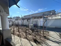 4 spatii comerciale, divizate curte comuna, Bazda lui Novac