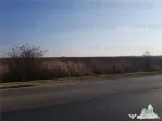 Teren extravilan - Braila - E584 -