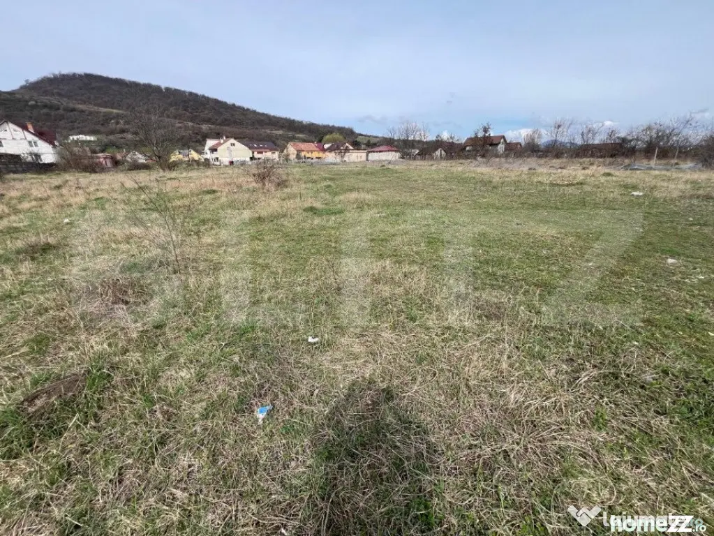 Teren Intravilan de vanzare, 4400 mp, zona Viisoara - Bistrita (Bistrita-Nasaud)