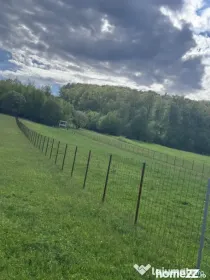 Teren intravilan, 2500mp, Voievodeasa, Marginea