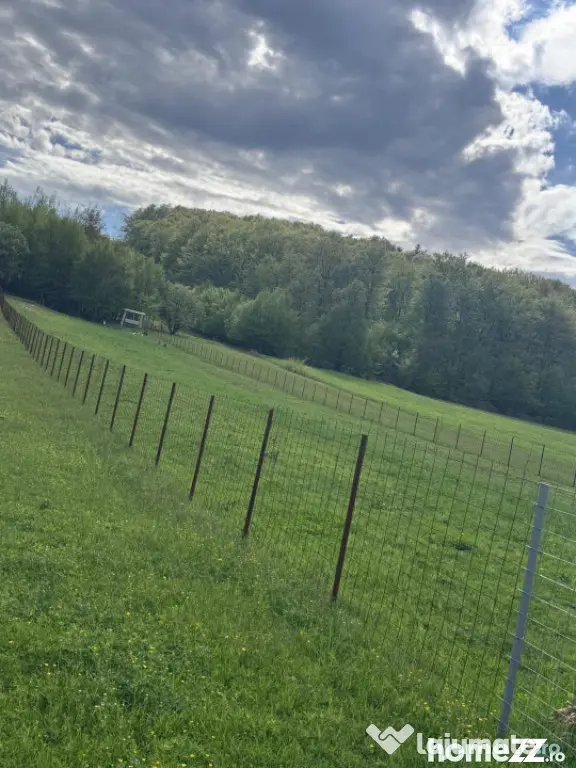 Teren intravilan, 2500mp, Voievodeasa, Marginea
