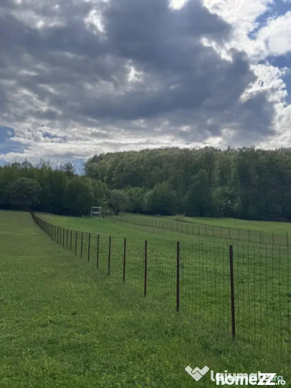Teren intravilan, 2500mp, Voievodeasa, Marginea